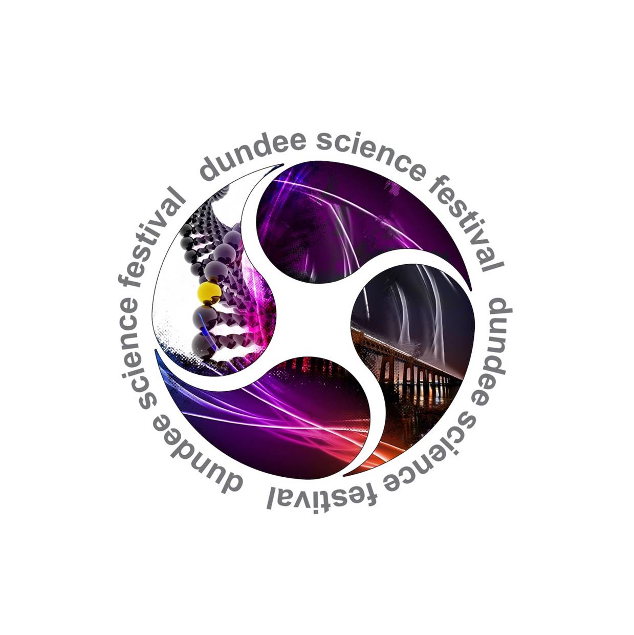 dsf-logo-2011.jpg