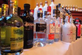 GIN.jpg